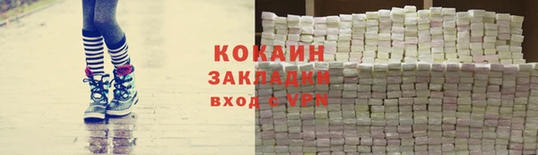 сатива Губаха