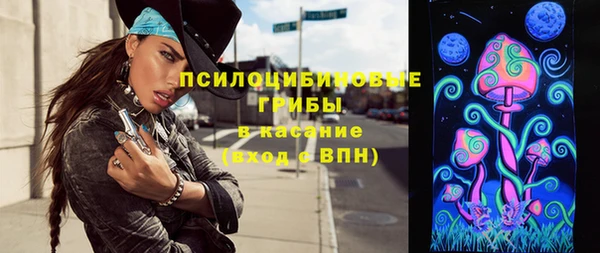 дживик Арсеньев